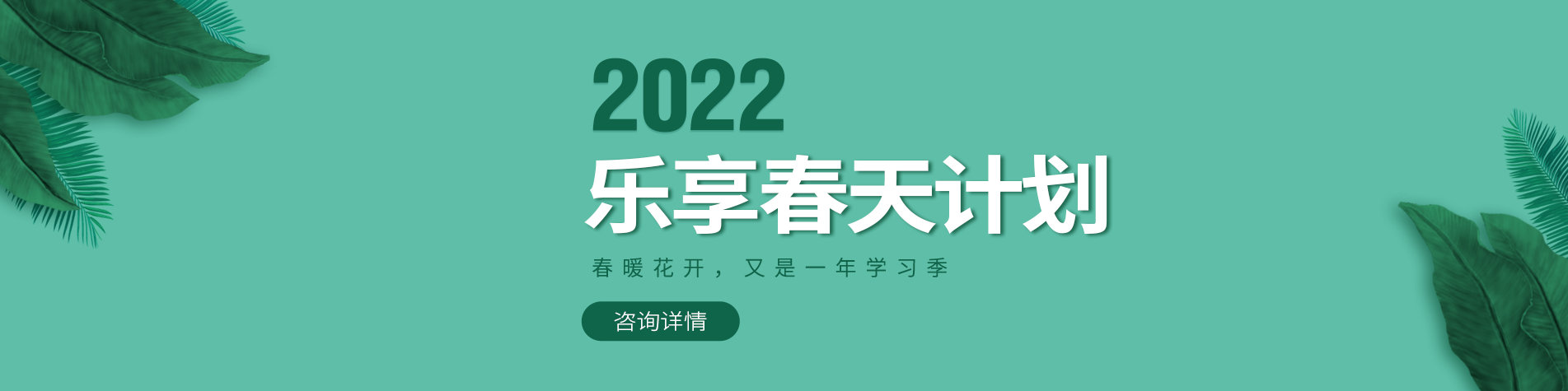 操妞视频在线观看免费网站